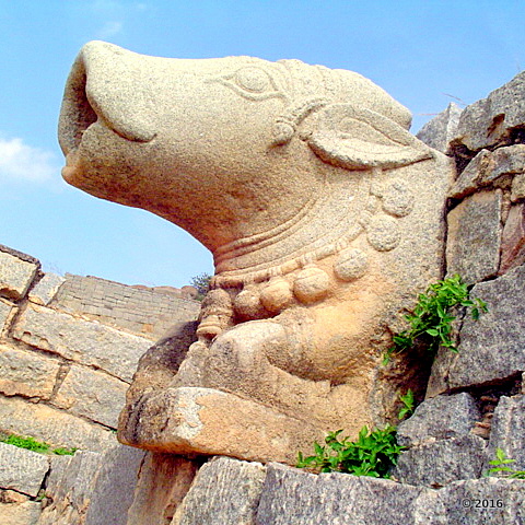 Nandimukha (bull headed waterspout) inside the Danaik’s Enclosure area. The sprout is located on the edges of a very large water tank you'll find inside the enclosure.