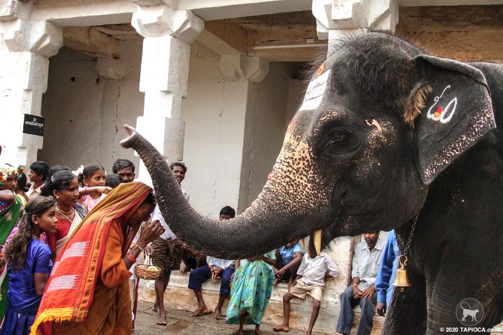 ..and that smooch by Lakshmi, the temple elephant at Virupaksha Temple cost you a rupee!