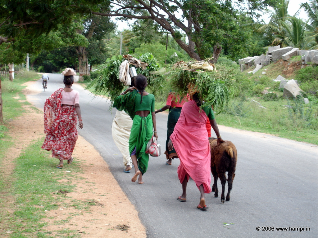 Hampi has an enterprising farming community. A visit to Hampi and the villages around it is a great way to appreciate the rural lifestyle.

You can even stay in one of the <a href=